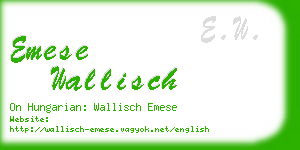 emese wallisch business card